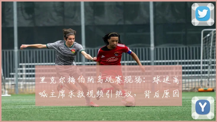 里克尔梅伯纳乌观赛现场:球迷高喊主席求救视频引热议,背后原因解析